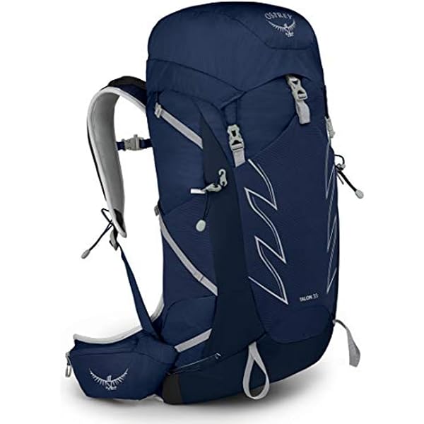 Amazon.co.jp: OSPREY(オスプレー) テンペスト30 OS50242